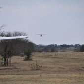  The Serengeti, TZ